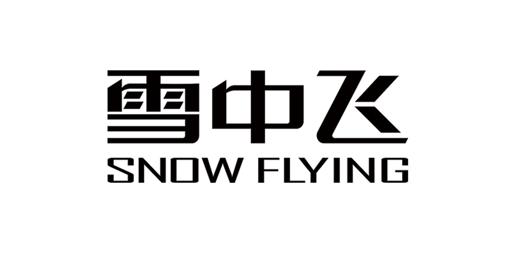 雪中飞